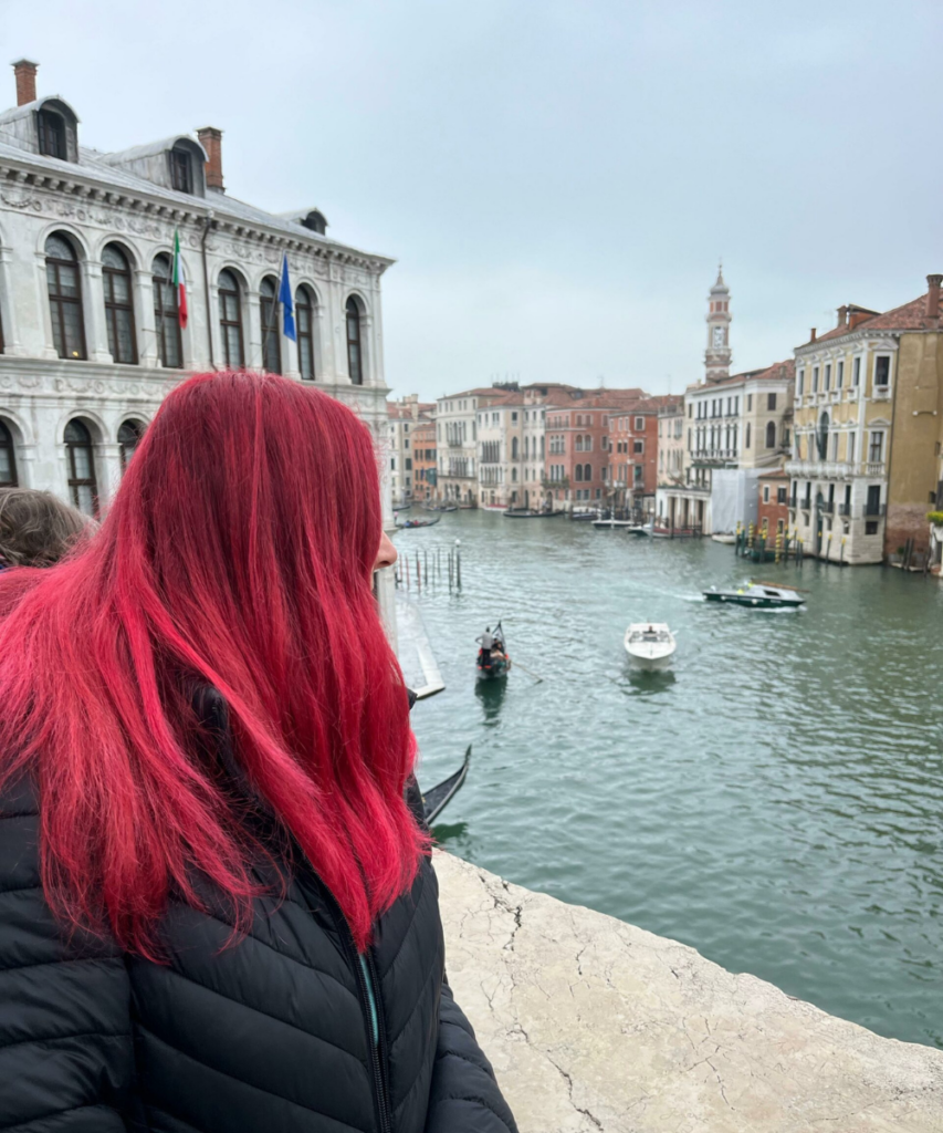 Admirando venecia